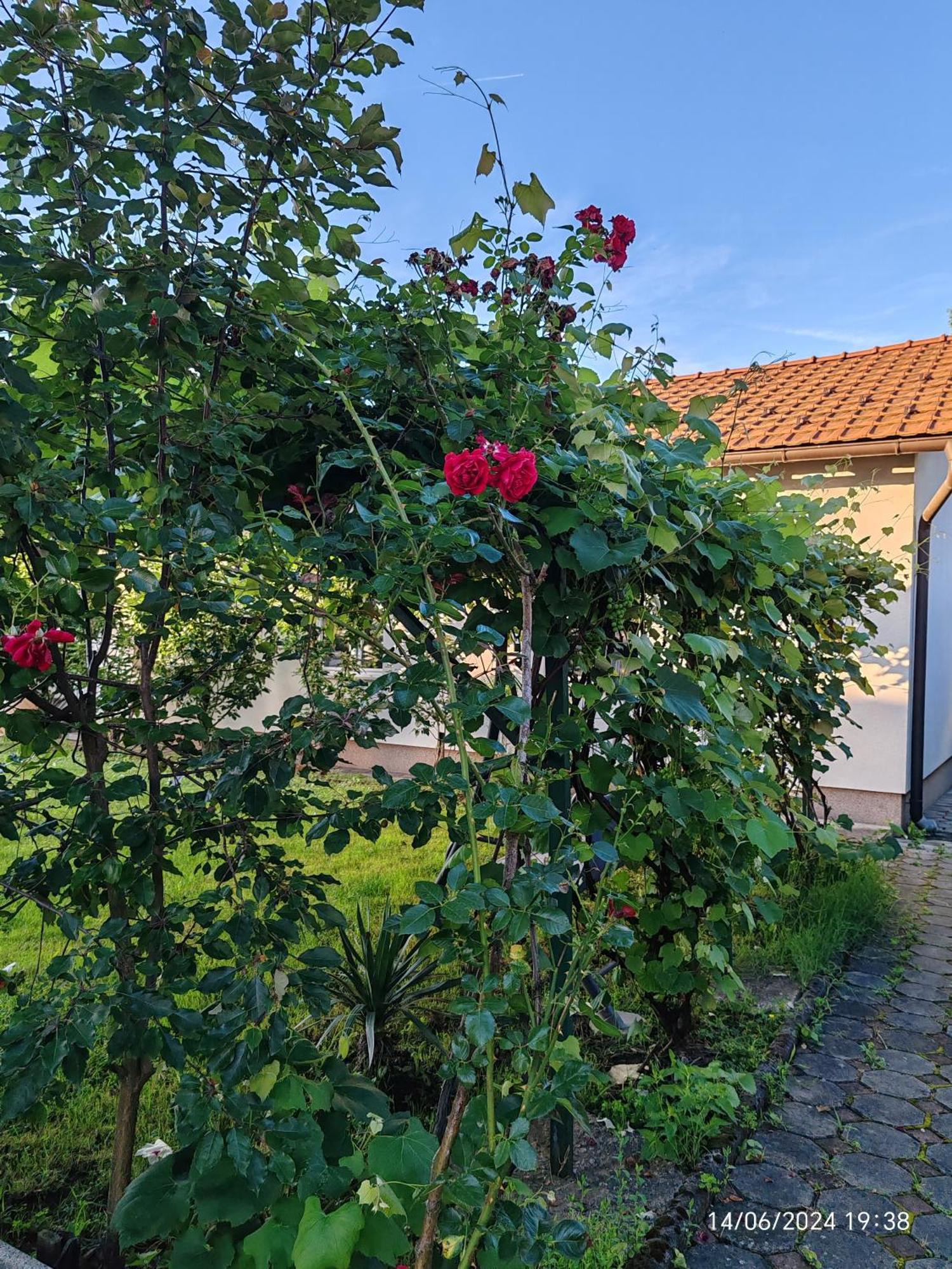 Guesthouse Jelic Teslić Zewnętrze zdjęcie