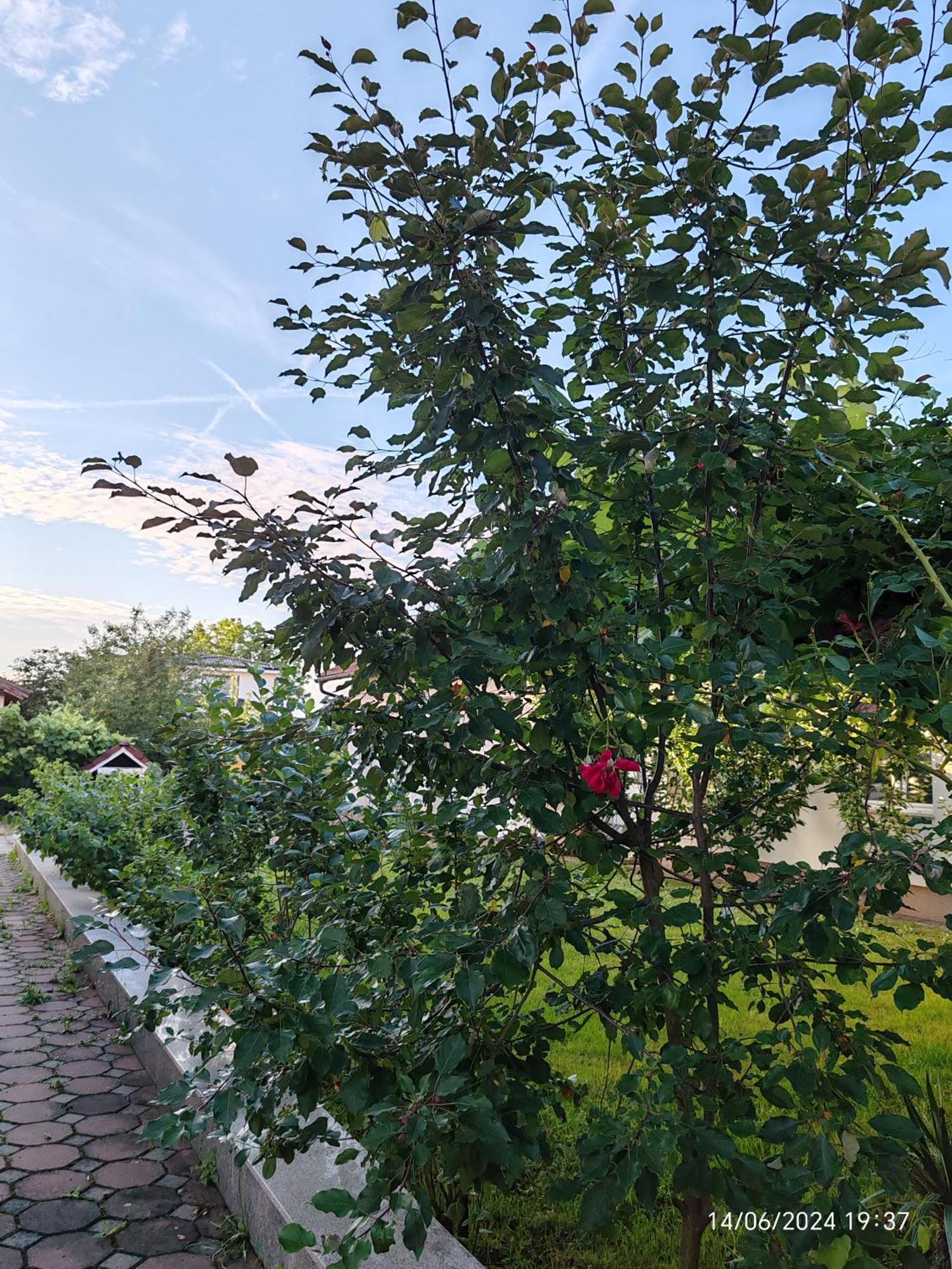 Guesthouse Jelic Teslić Zewnętrze zdjęcie